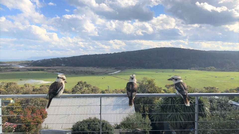 A few locals enjoying the view from the deck.
