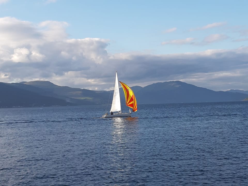 Image 14
