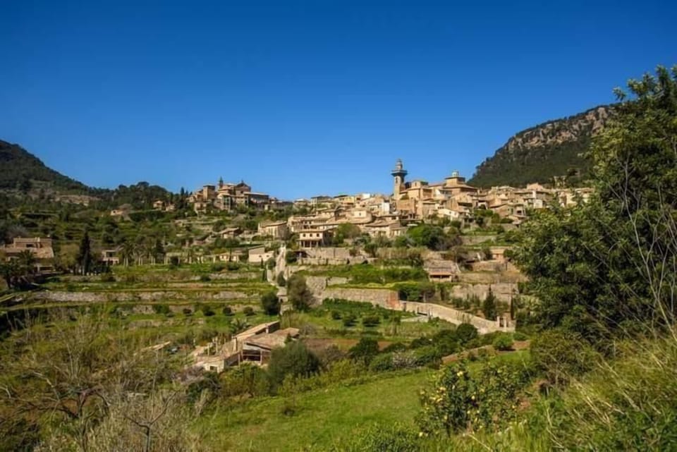 Panoramic view