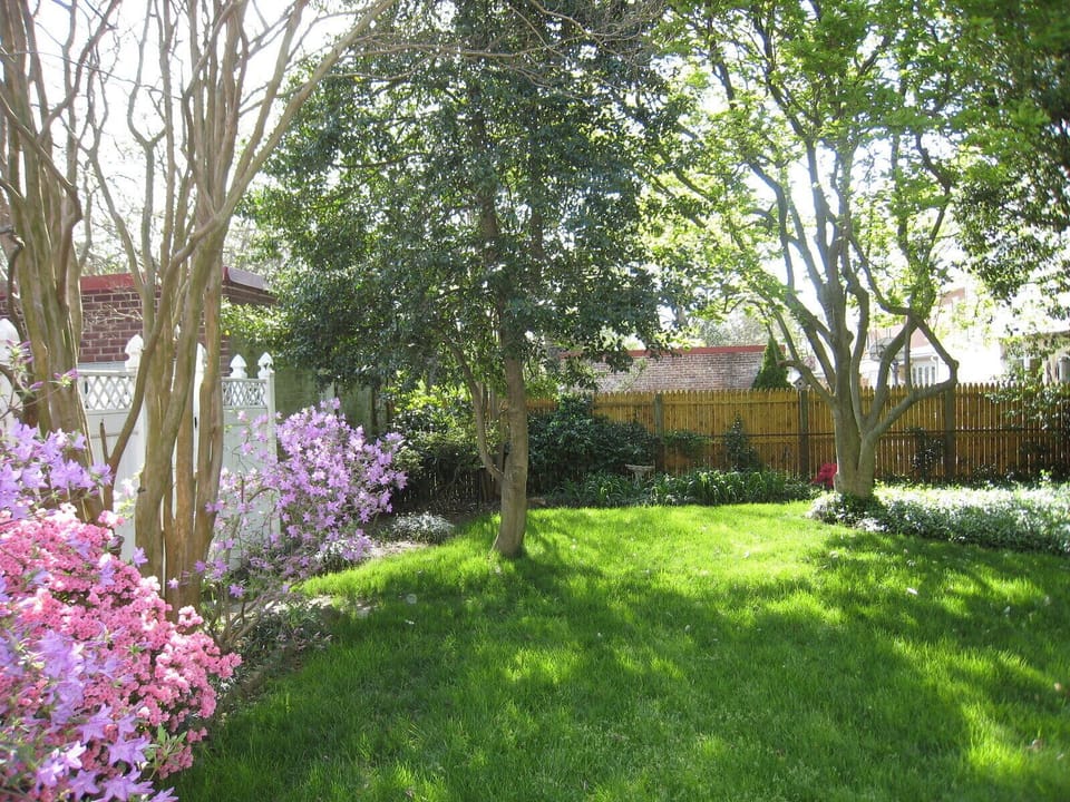 Back yard view from entrnce - The view from your windows.