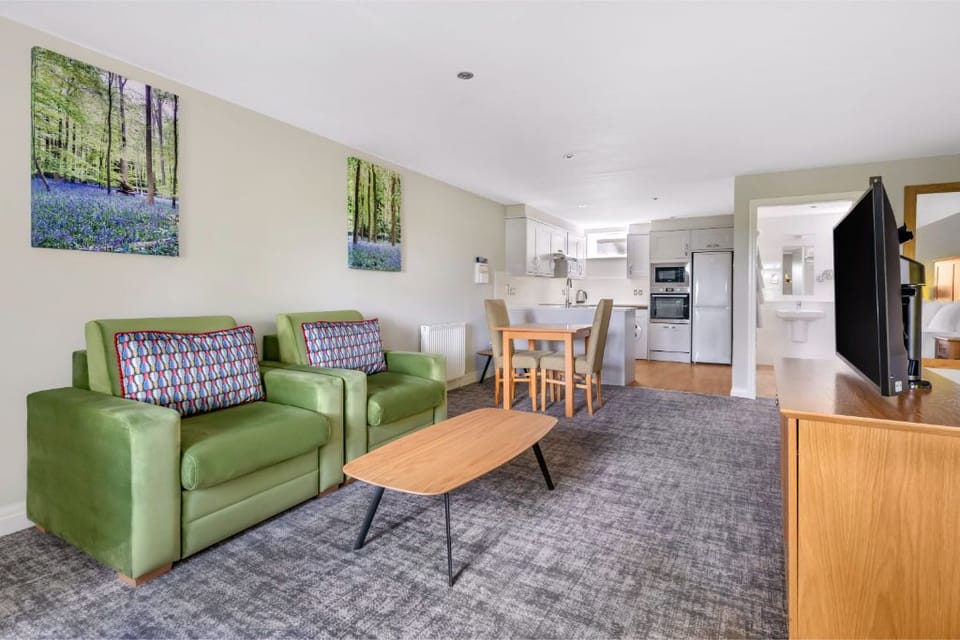 Comfortable living area with vibrant accents and open space.