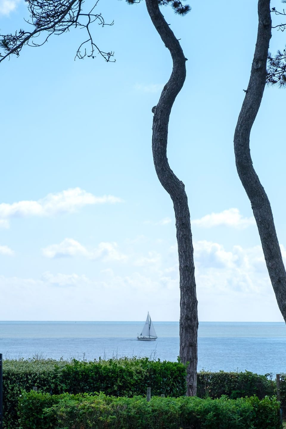 Beach/ocean view