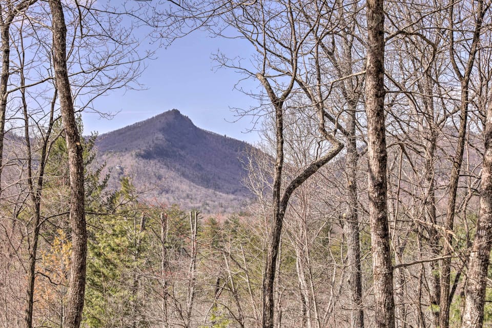 View from Covered Front Porch