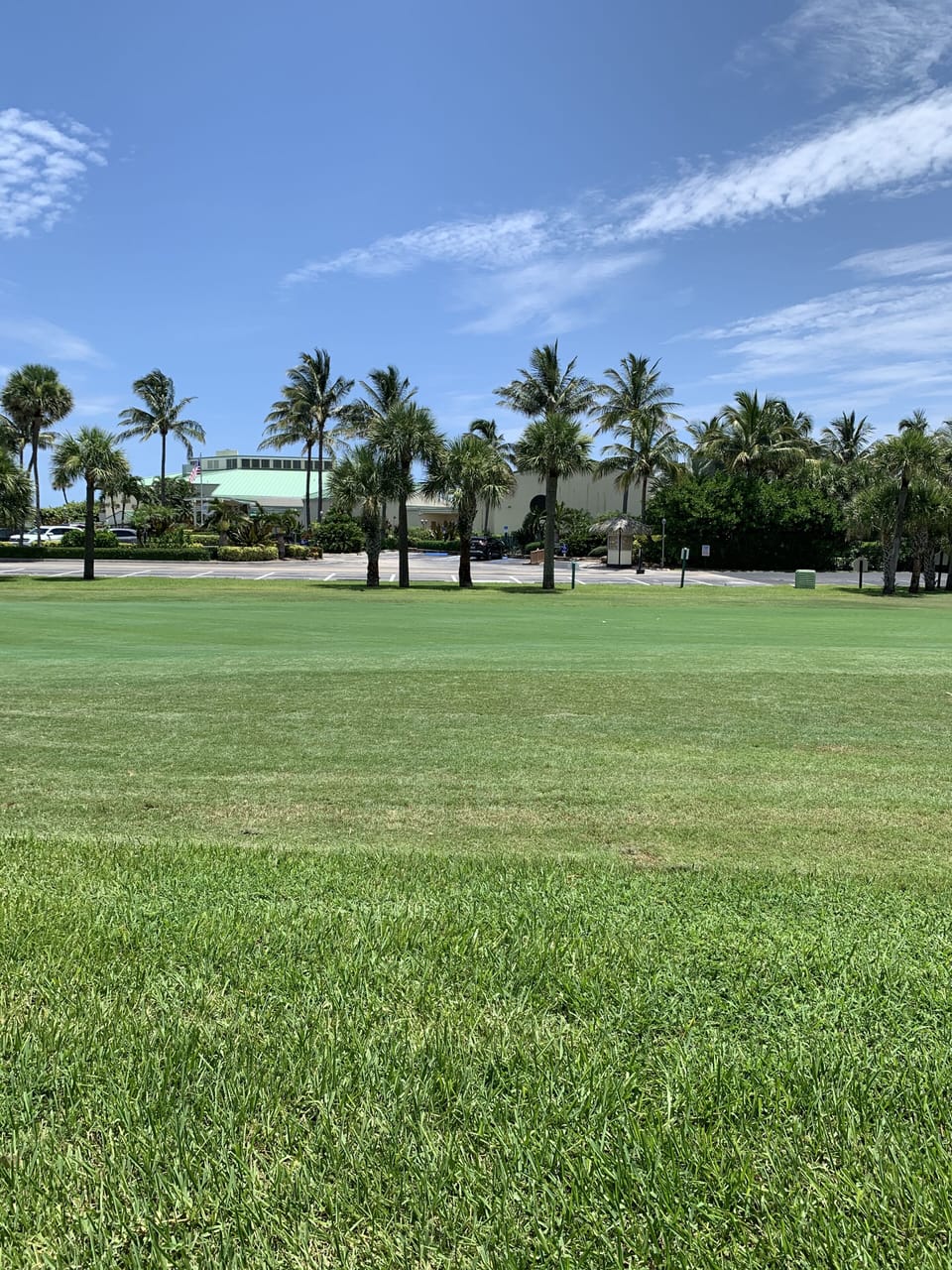 It's a short walk to the main pool (Green roof)