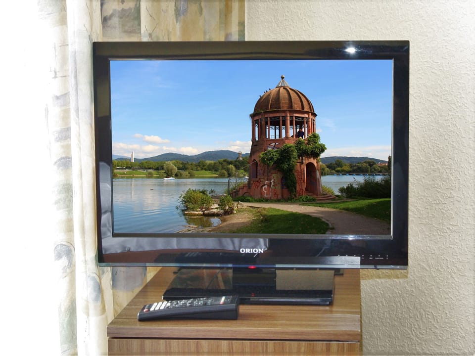 Television
