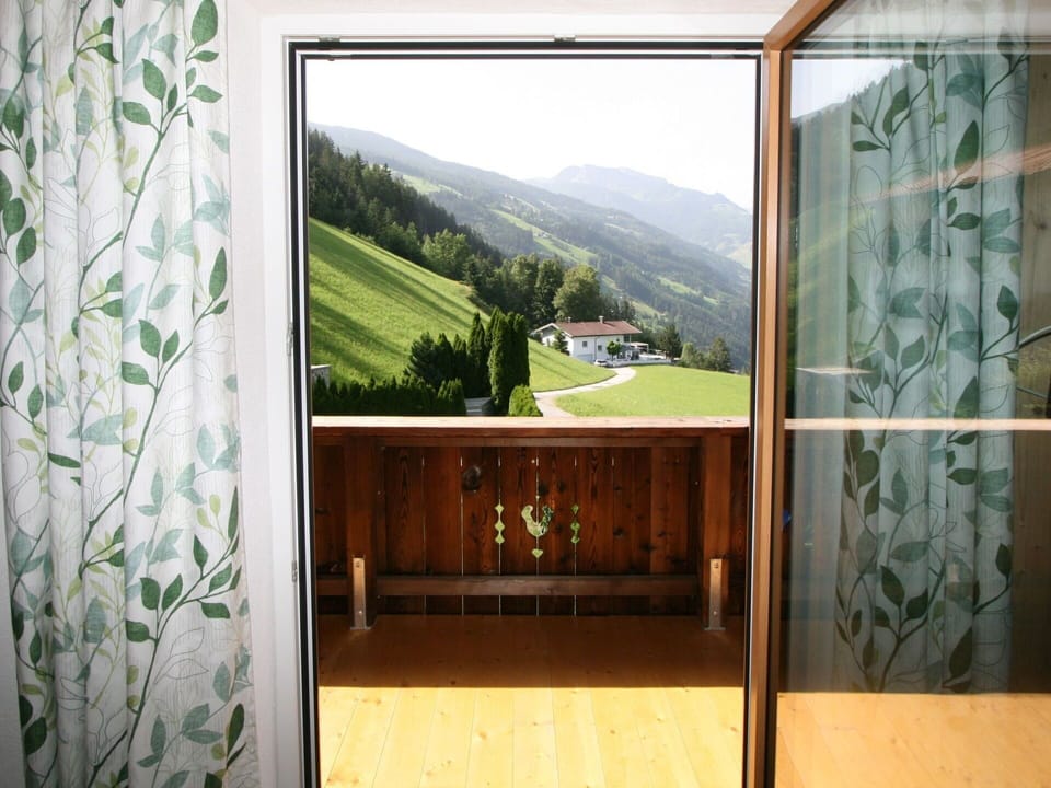 Property, Plant, Building, Wood, Interior Design, Architecture, Window, Shade, Sky, Tree