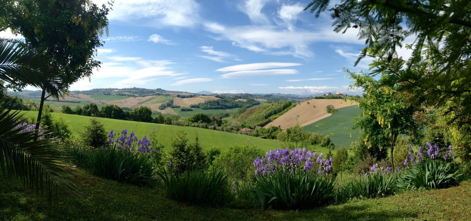 Valley view looking south-west in spring, from any spot the views are unbeatable