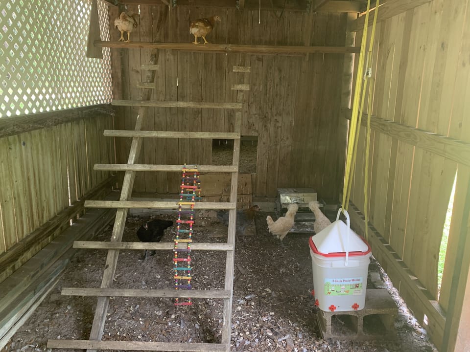 Chickens coop.  Please feed them with left over scraps from cooking :)