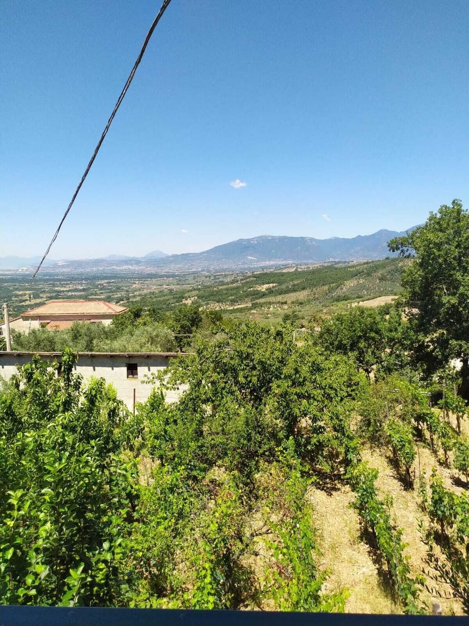 View from property
