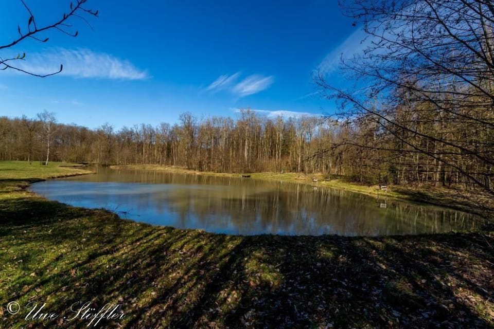 Large vacation home - edge of the village, fenced garden, fireplace, sauna. 5 dogs welcome! House in Baden-Württemberg