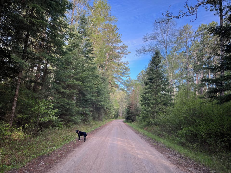 Camp Five Road in front of cabin