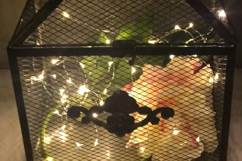 decor