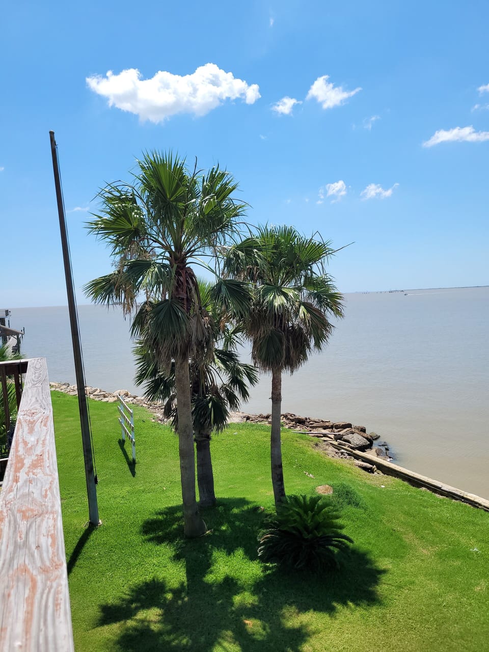 View from property