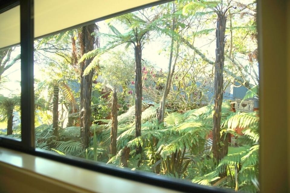 View from bedroom 3