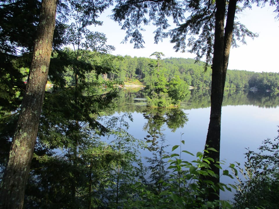 Ivy Island from the Cabin
