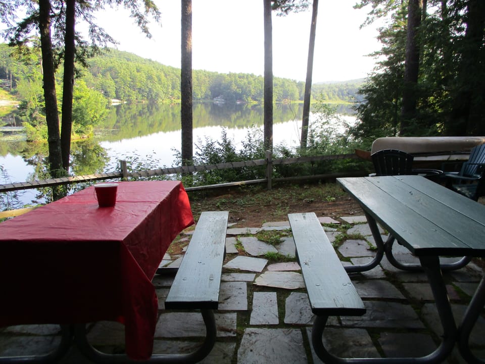 View from picnic tables 