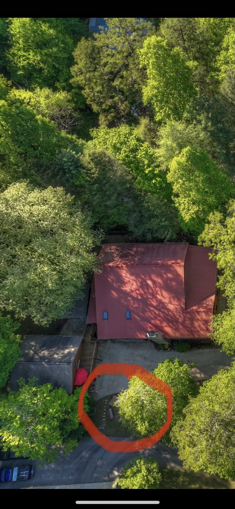 Firepit location
