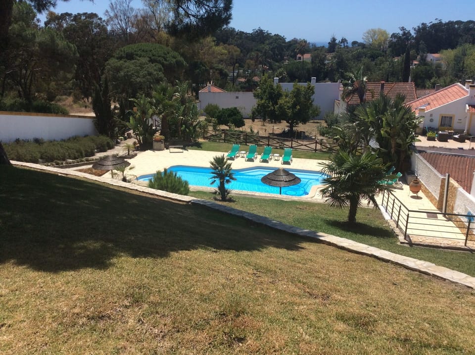 Garden area