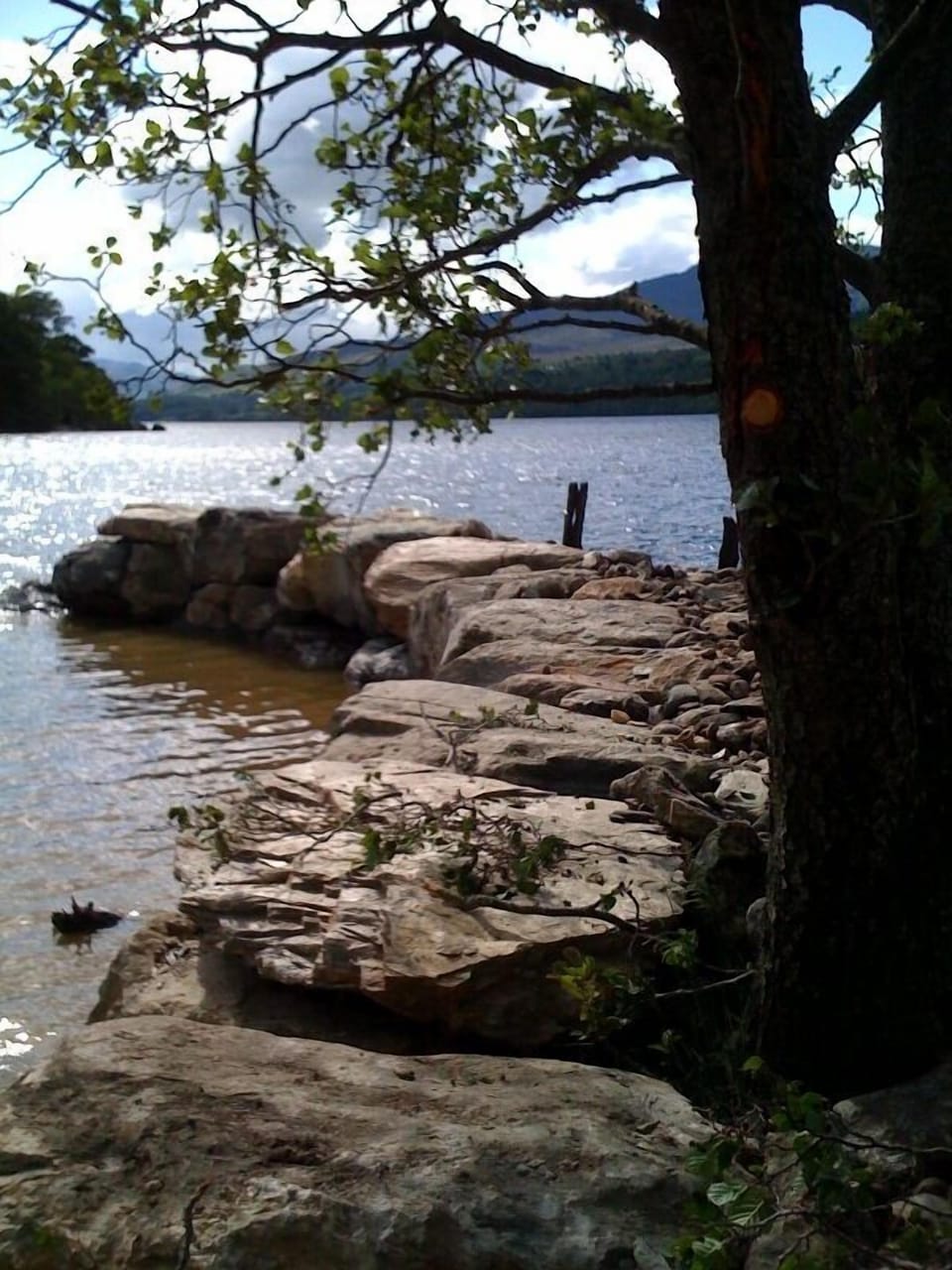 Ardeonaig Lodge on the shores of Loch Tay (76)