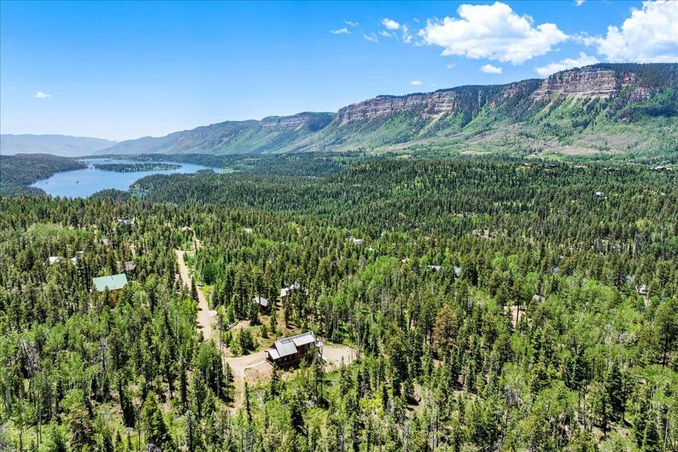 Aerial View South