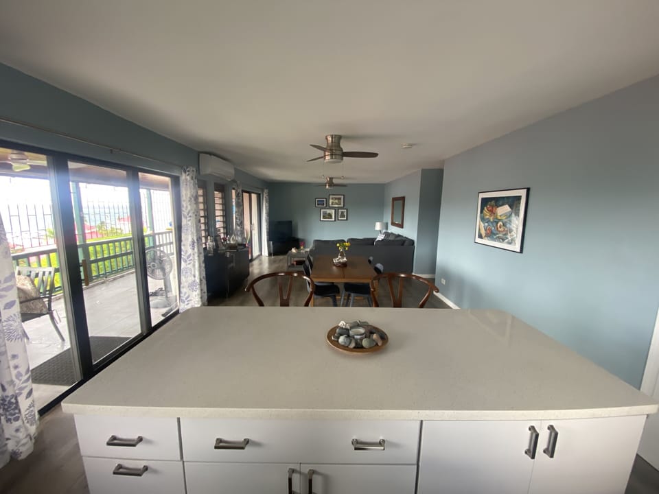Looking from kitchen to dining and living areas