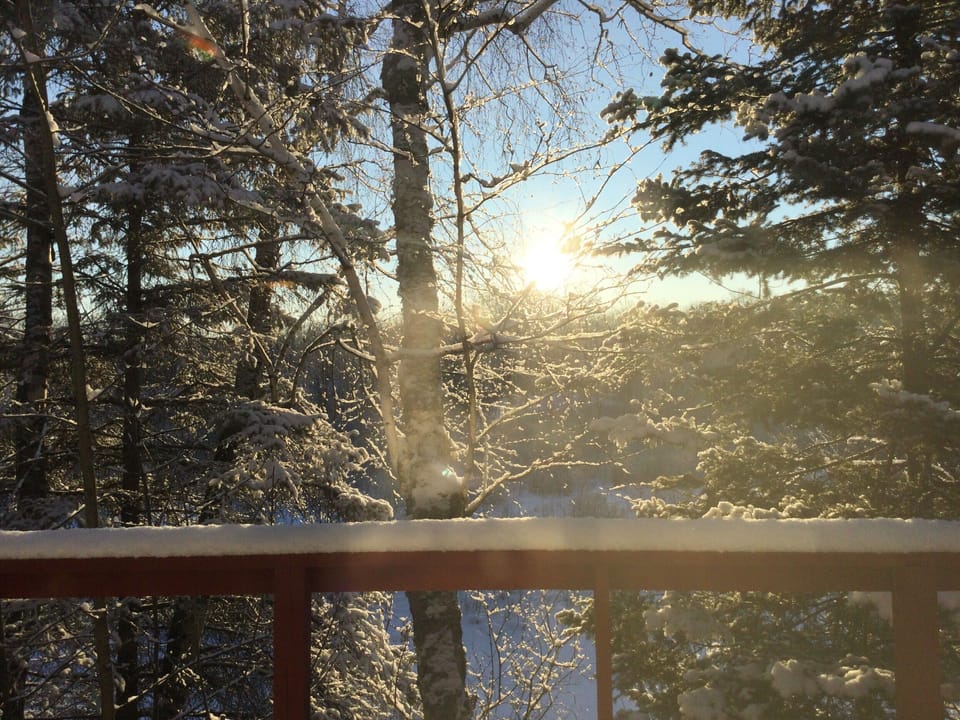 Winter living room view