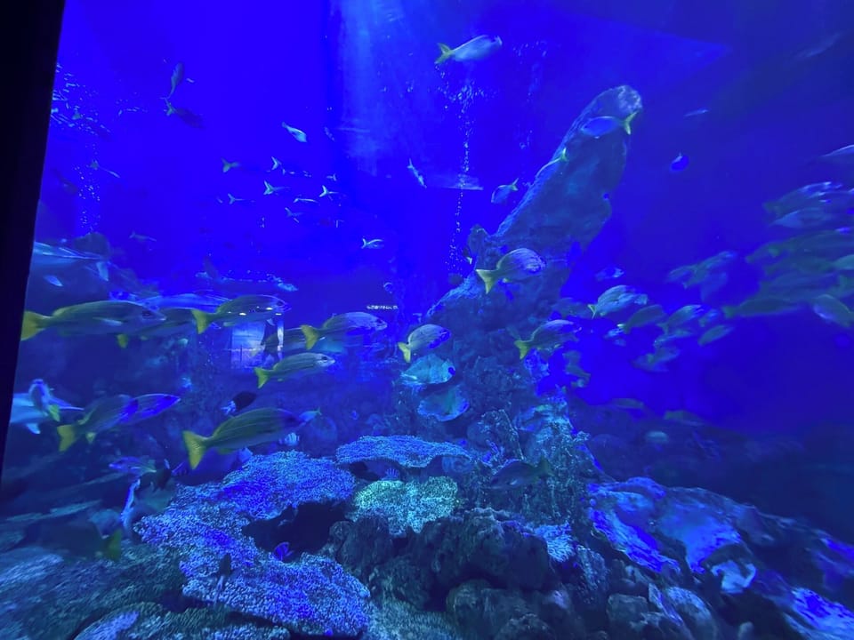 Toba Aquarium is just a few minutes walk away.
