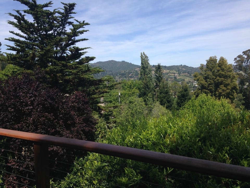 Gaze over the treetops from your private retreat - no neighbors can see in house