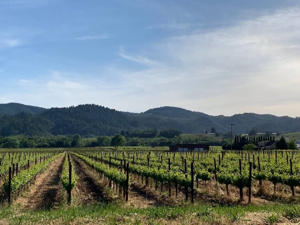 Wine country in an hour or less