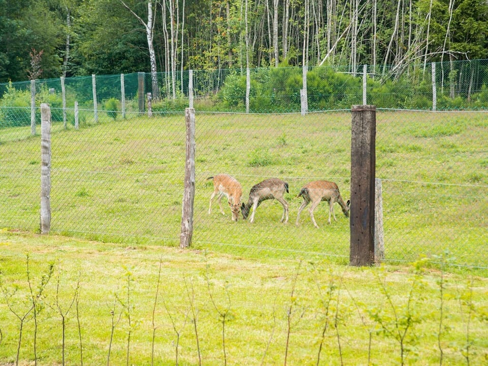 Holiday Park Facilities and Services 