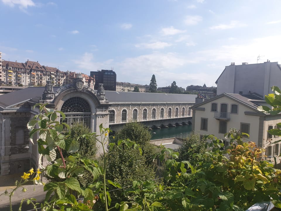 View from terrace in summer