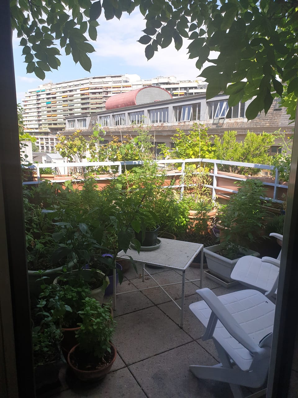 Little terrace overlooking the Rhône river