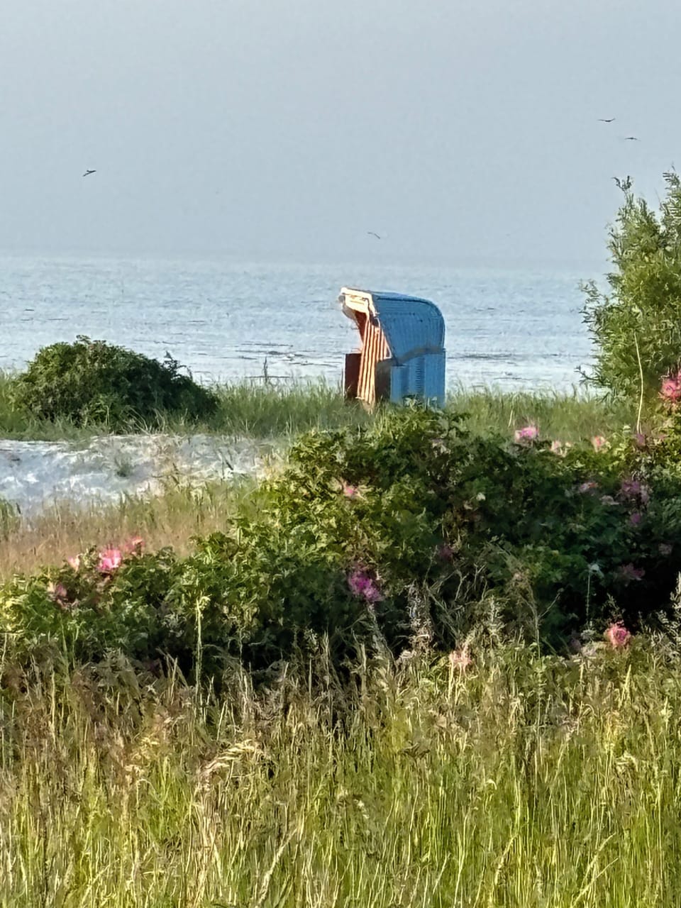Miscellaneous