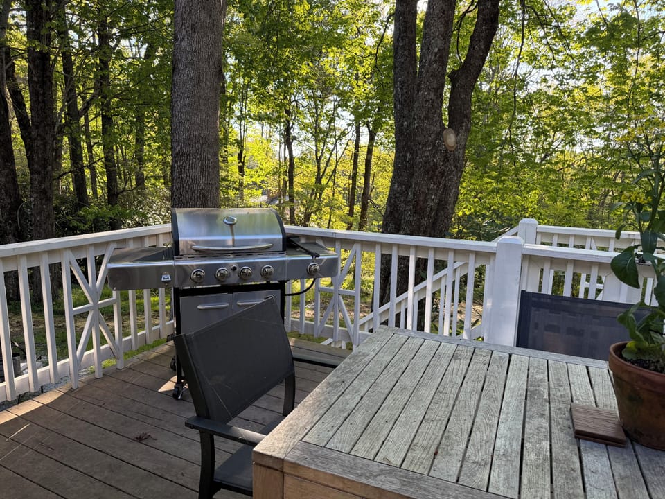outdoor patio table and chairs 
loungers