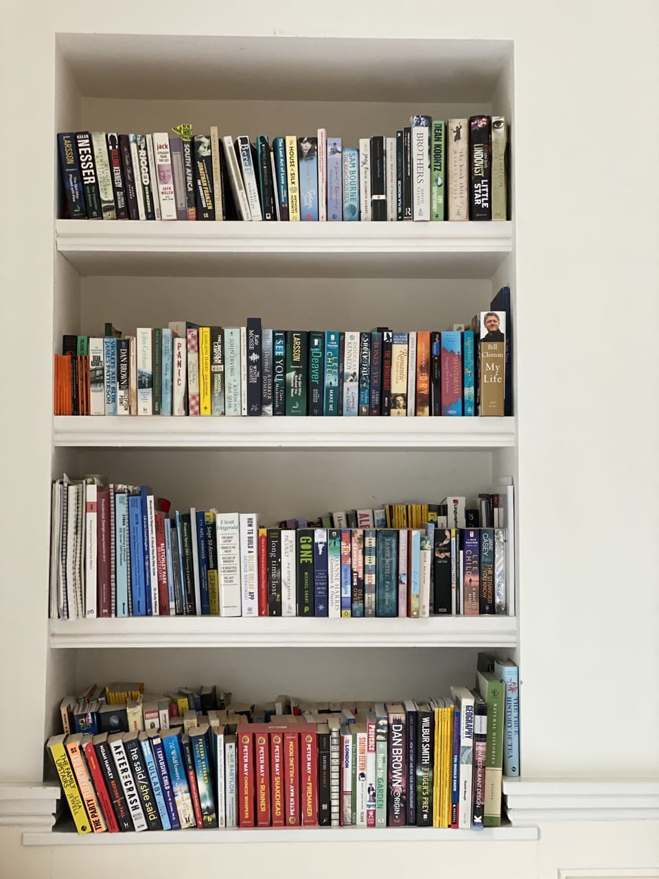 Plenty of bookshelves!