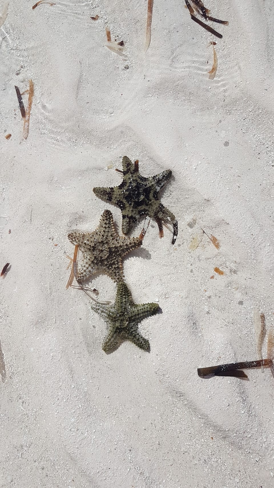 Never know what you'll find on the bank 