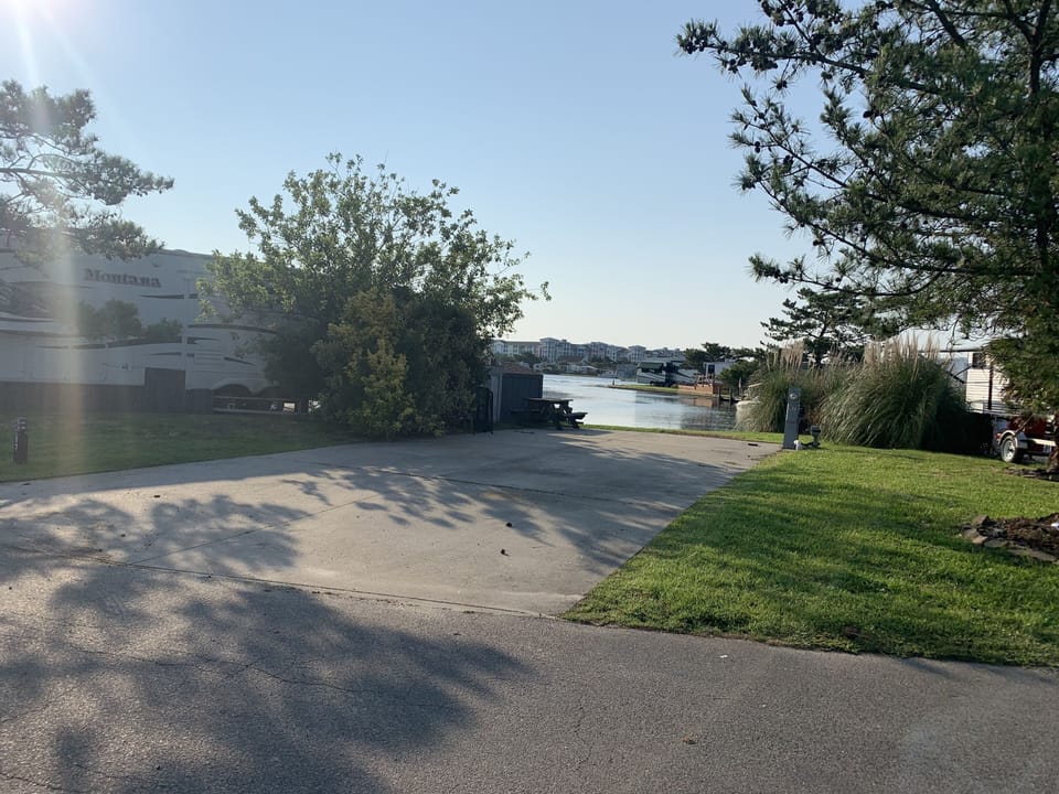 Another morning view