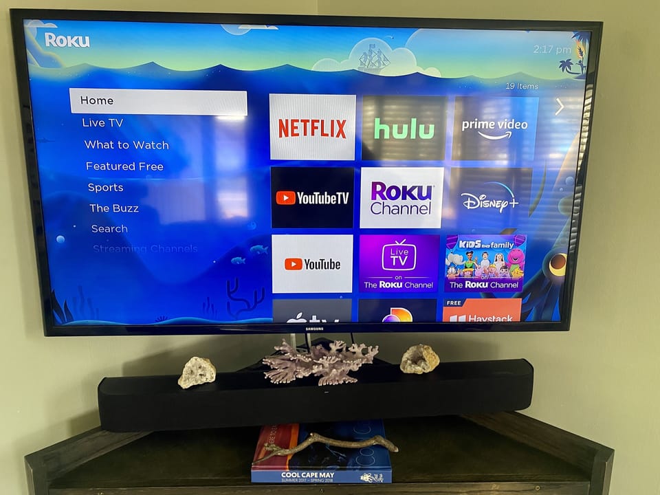 Television