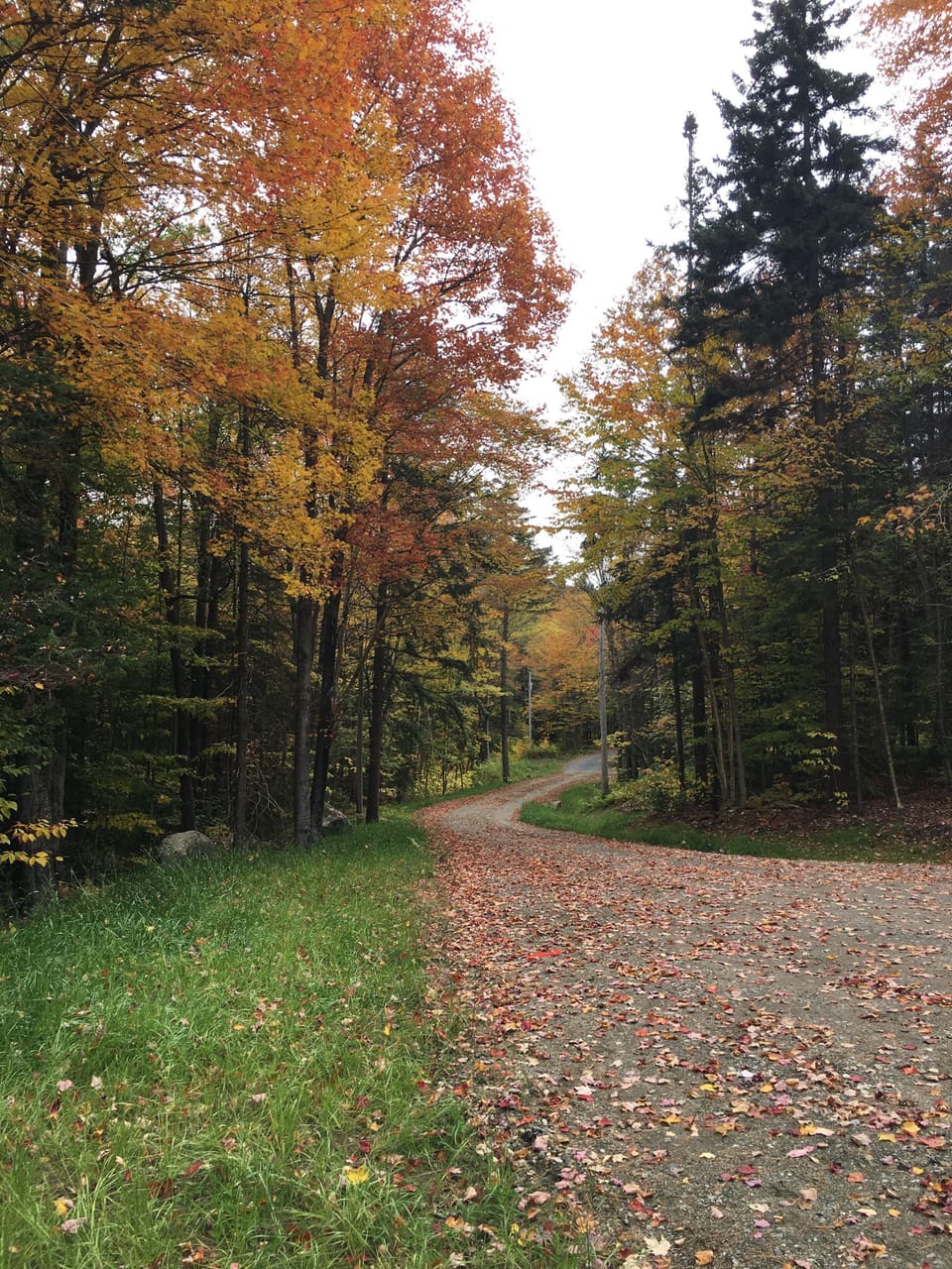 View of driveway on site
