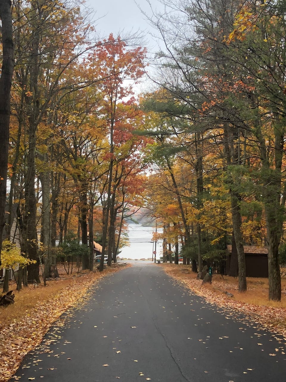 Only 0.3 miles to Lake Harmony 😊