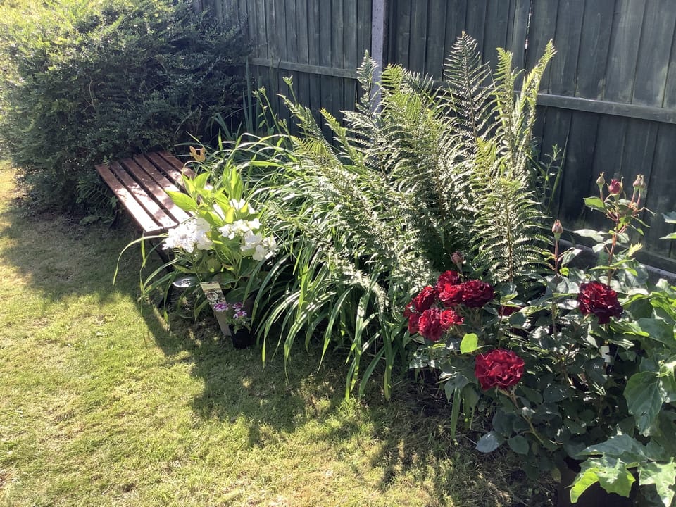 Garden.
