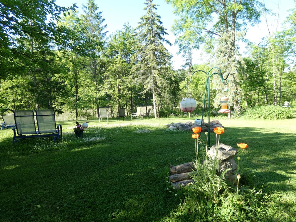 Lots of places to relax, including 4 hammocks