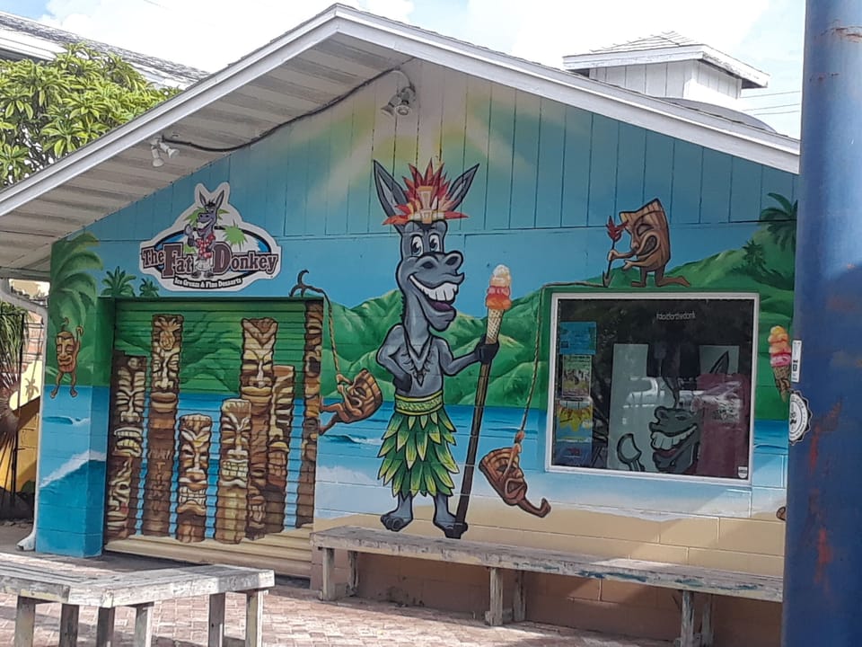 Fat Donkey Ice Cream