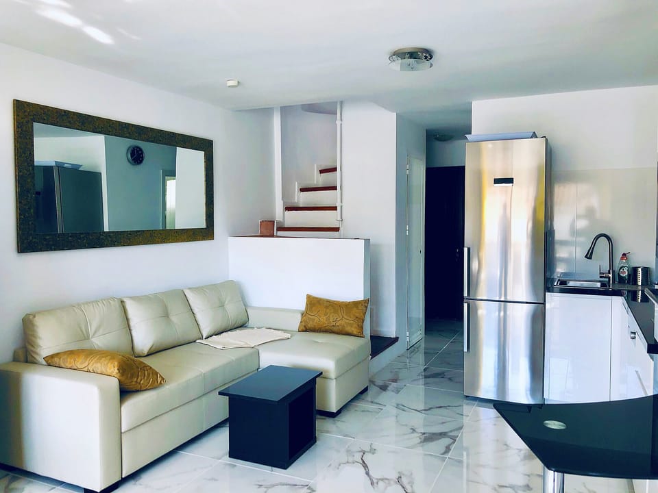 Large living room with open kitchen