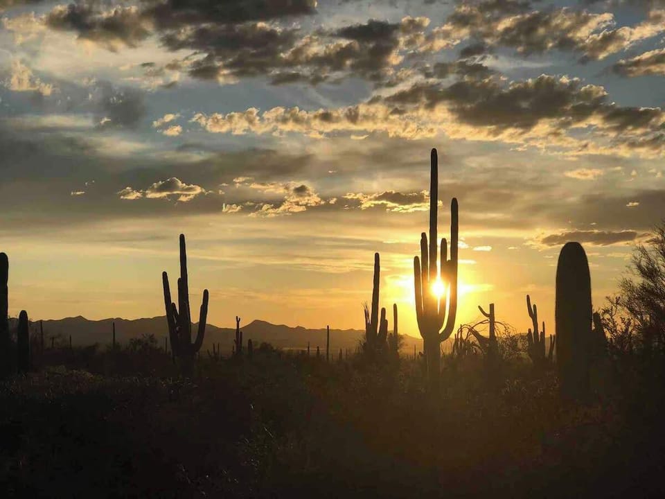 Saguaro National Park, only a 15min drive away
