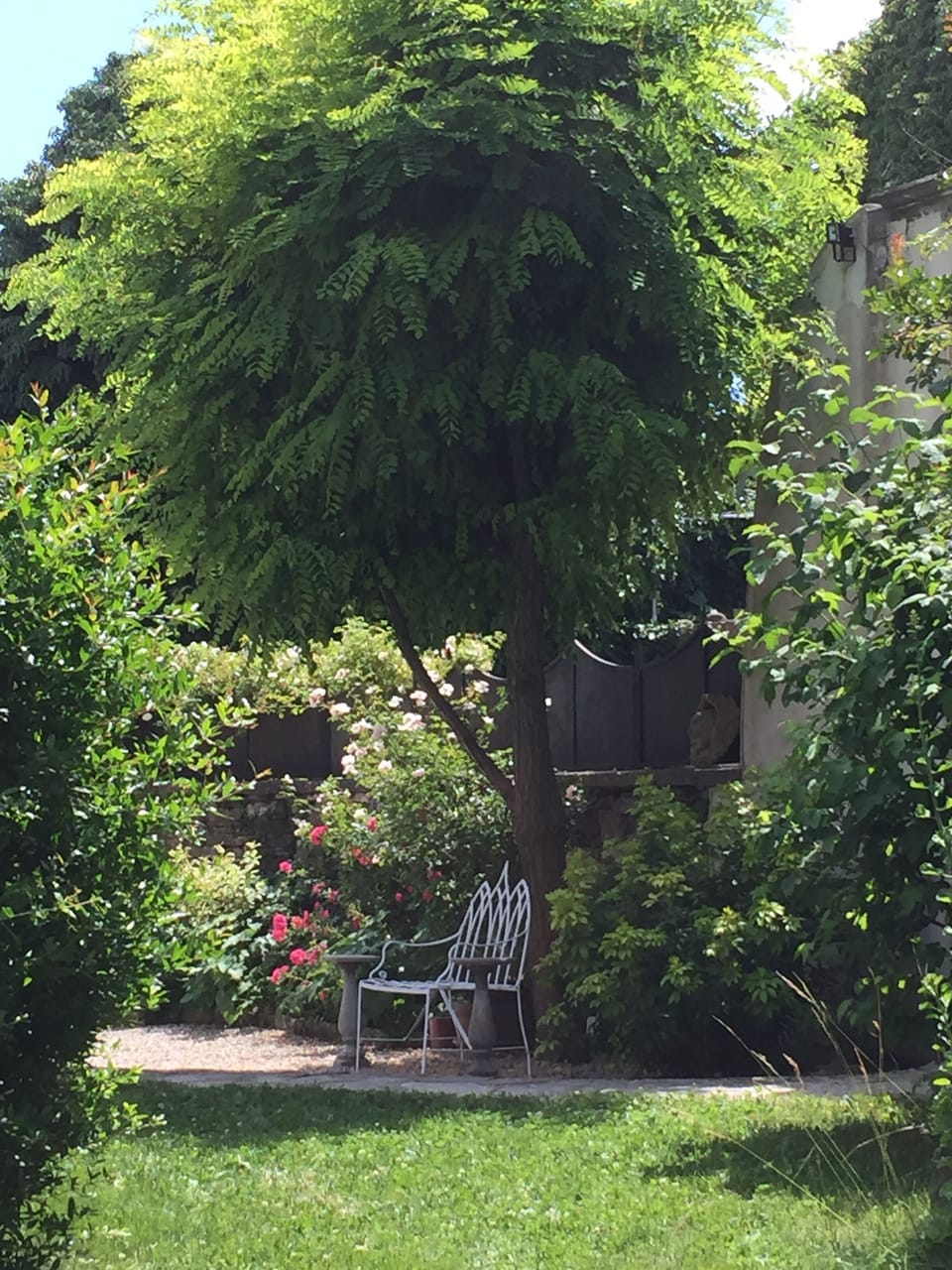 Front garden in full bloom.