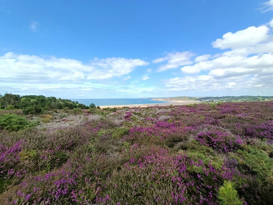 The point of vue at 200m from the gîte