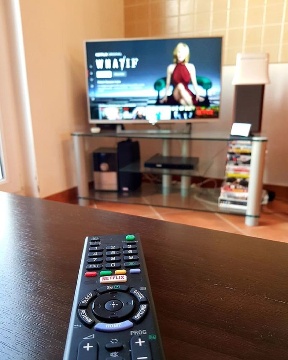 Netflix and Sony 32 in smart TV + high speed wifi