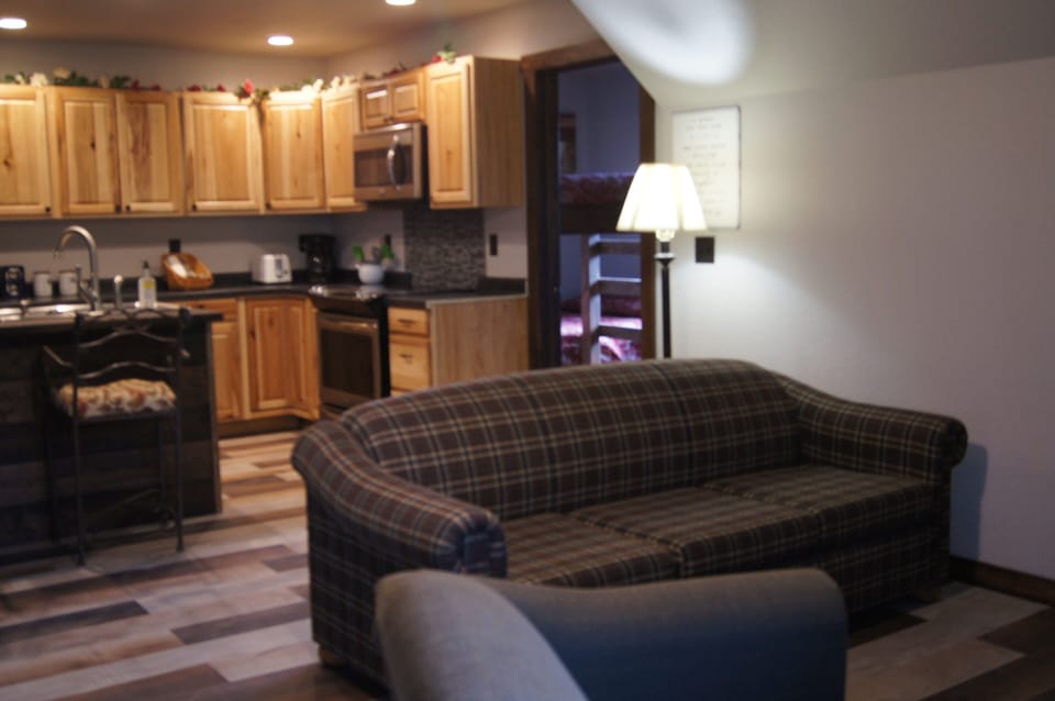 Living Room/Kitchen
