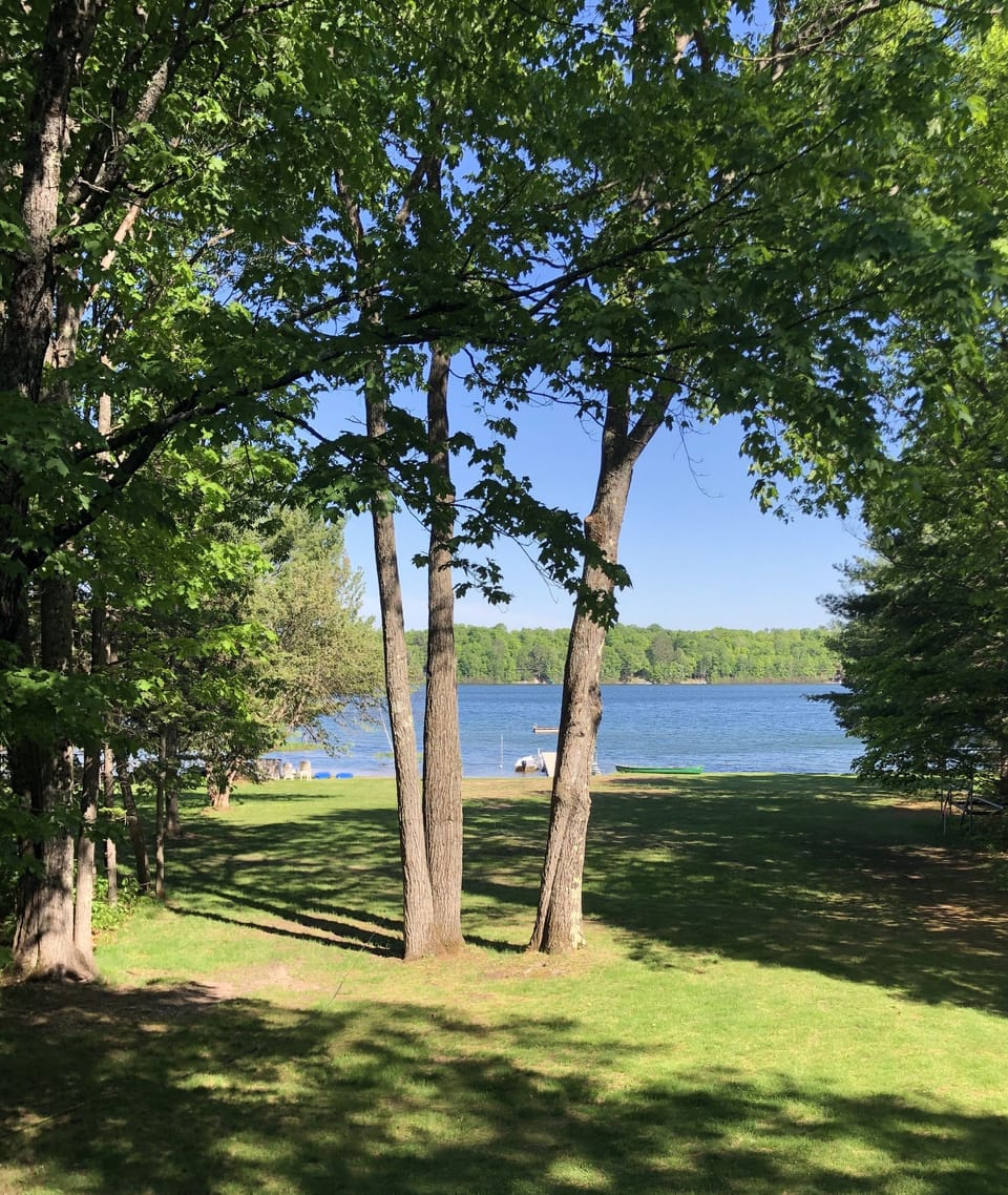 A view of the lake from the deck